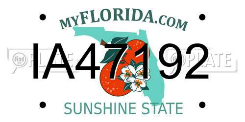 IA47192 Florida License Plate