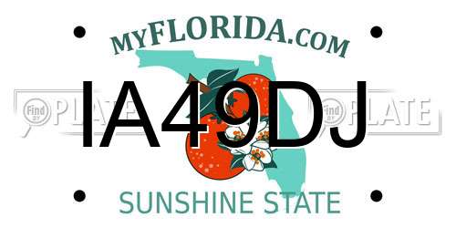 IA49DJ Florida License Plate
