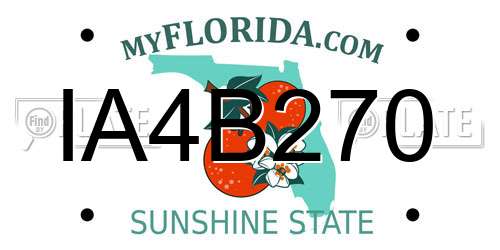 IA4B270 Florida License Plate