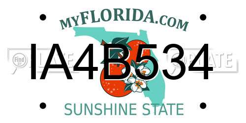 IA4B534 Florida License Plate