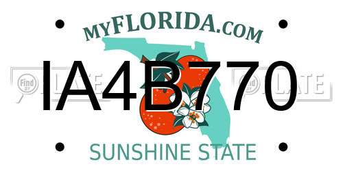 IA4B770 Florida License Plate