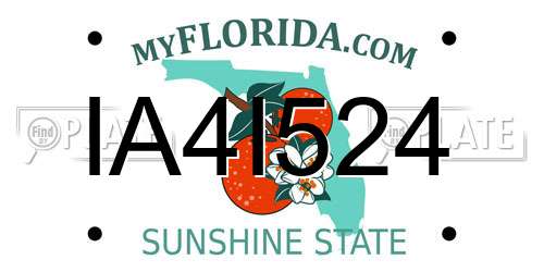 IA4I524 Florida License Plate