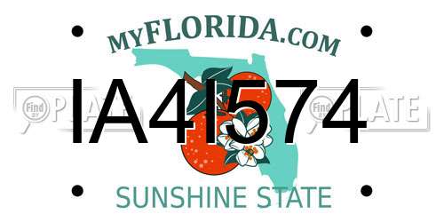 IA4I574 Florida License Plate