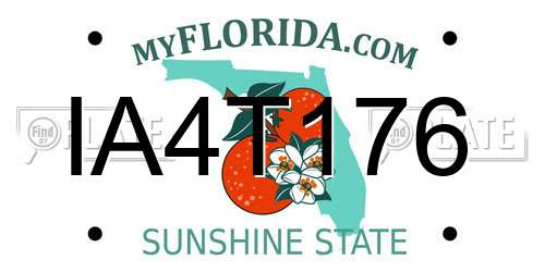IA4T176 Florida License Plate