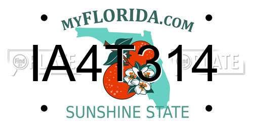 IA4T314 Florida License Plate