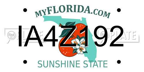 IA4Z192 Florida License Plate