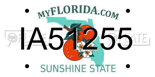 IA51255 Florida License Plate