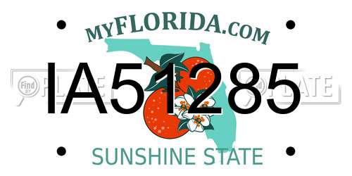 IA51285 Florida License Plate