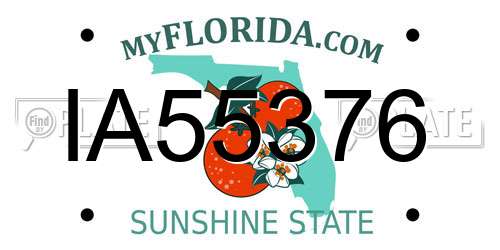 IA55376 Florida License Plate