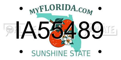 IA55489 Florida License Plate