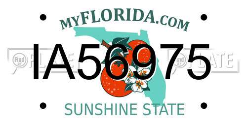 IA56975 Florida License Plate