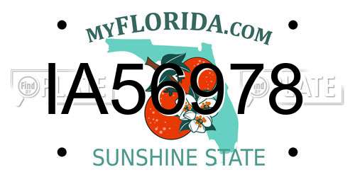 IA56978 Florida License Plate