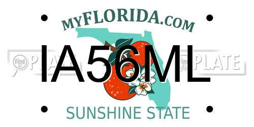 IA56ML Florida License Plate