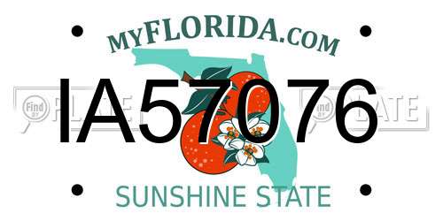 IA57076 Florida License Plate