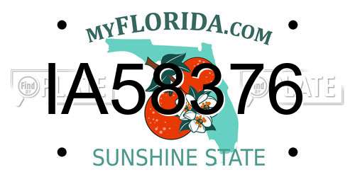 IA58376 Florida License Plate