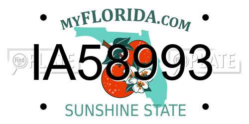 IA58993 Florida License Plate