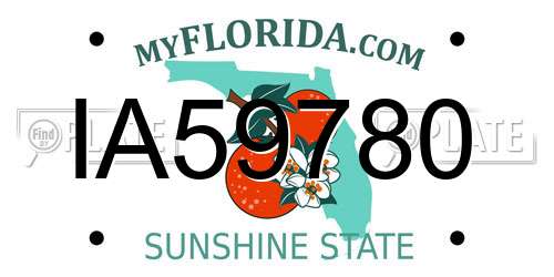 IA59780 Florida License Plate