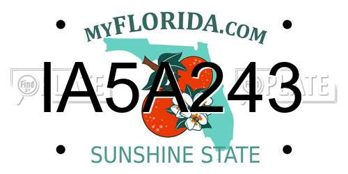 IA5A243 Florida License Plate