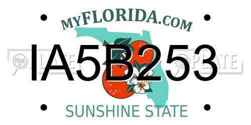 IA5B253 Florida License Plate