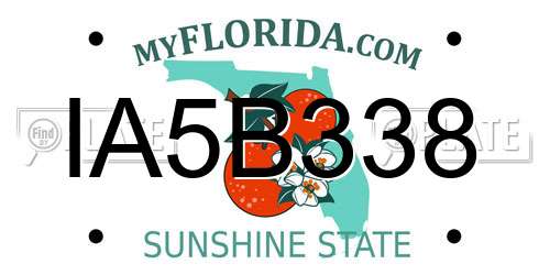 IA5B338 Florida License Plate