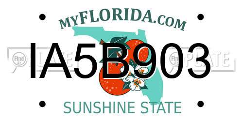 IA5B903 Florida License Plate