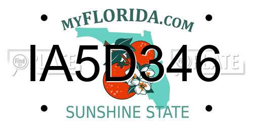IA5D346 Florida License Plate
