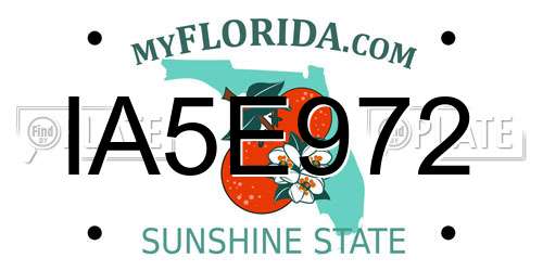 IA5E972 Florida License Plate