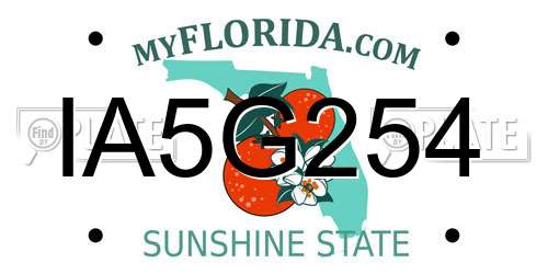 IA5G254 Florida License Plate