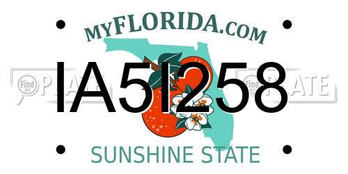 IA5I258 Florida License Plate