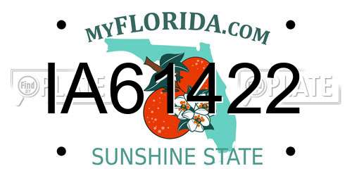 IA61422 Florida License Plate