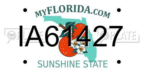IA61427 Florida License Plate