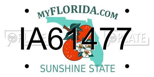 IA61477 Florida License Plate