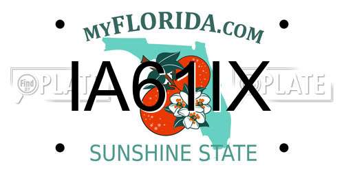 IA61IX Florida License Plate