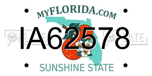IA62578 Florida License Plate