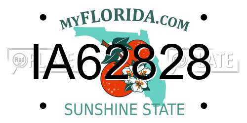 IA62828 Florida License Plate
