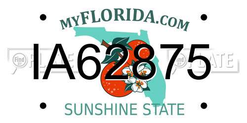 IA62875 Florida License Plate