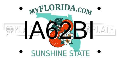 IA62BI Florida License Plate
