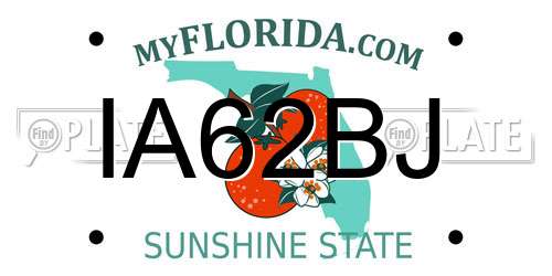 IA62BJ Florida License Plate