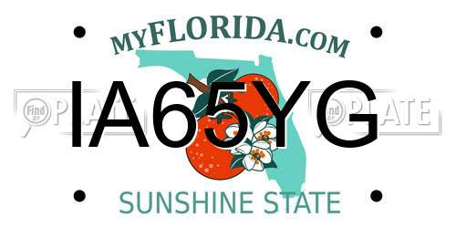 IA65YG Florida License Plate