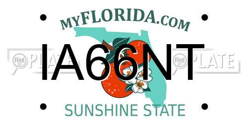 IA66NT Florida License Plate