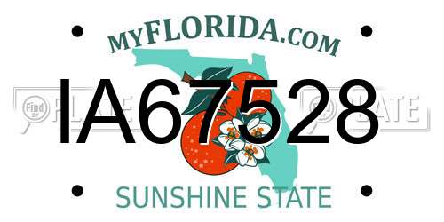 IA67528 Florida License Plate