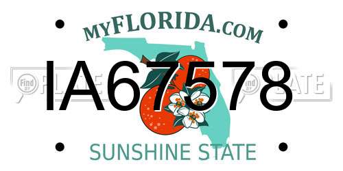 IA67578 Florida License Plate