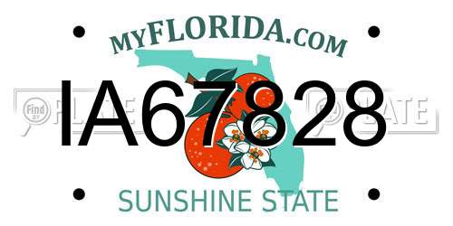 IA67828 Florida License Plate