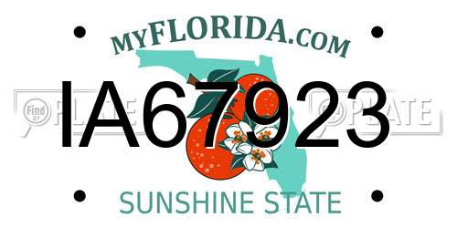 IA67923 Florida License Plate