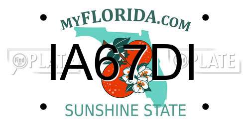 IA67DI Florida License Plate