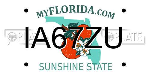 IA67ZU Florida License Plate