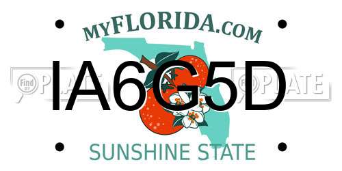 IA6G5D Florida License Plate