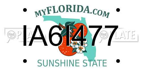 IA6I477 Florida License Plate
