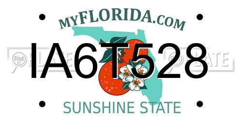 IA6T528 Florida License Plate
