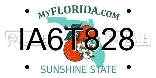 IA6T828 Florida License Plate
